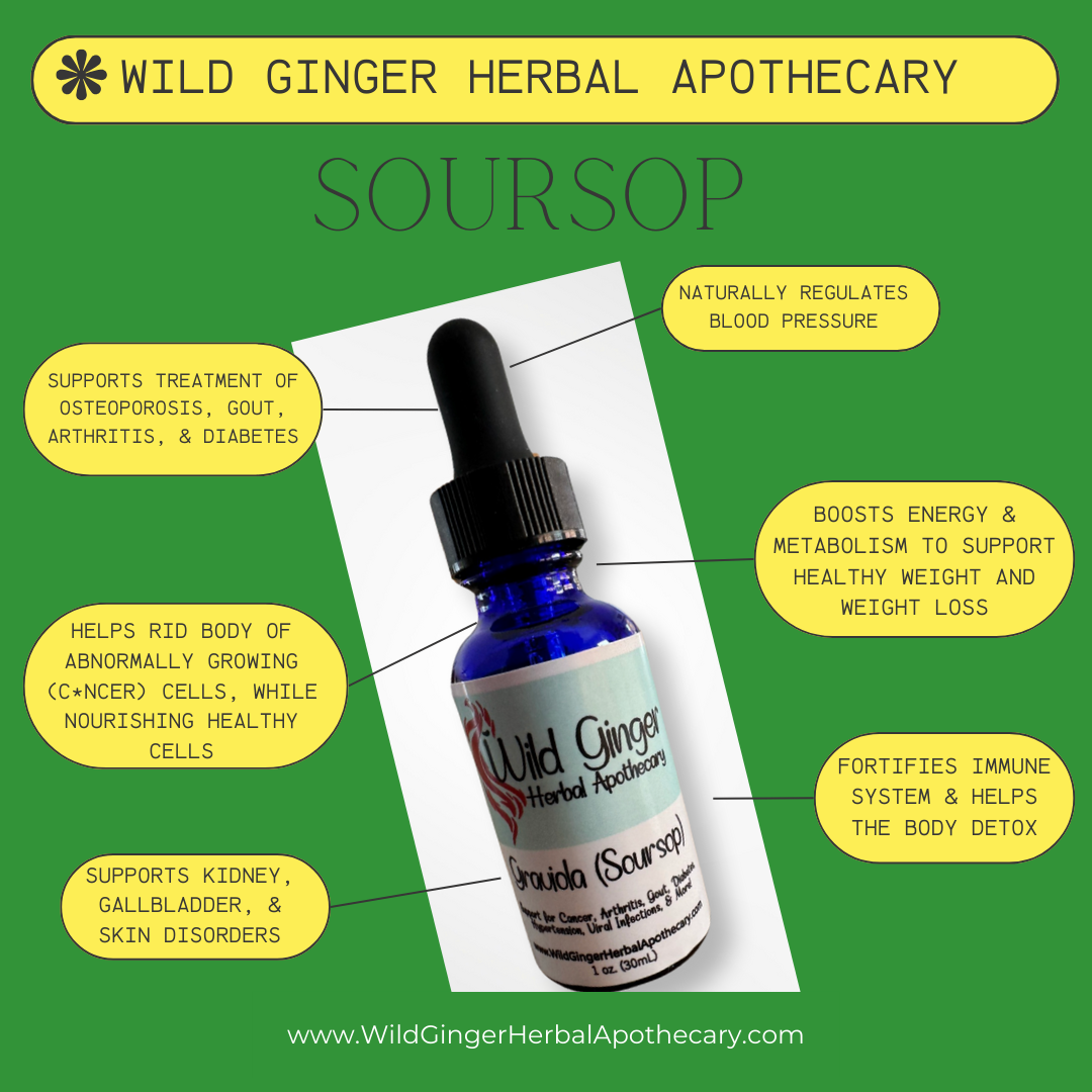 Graviola (Soursop) Tincture